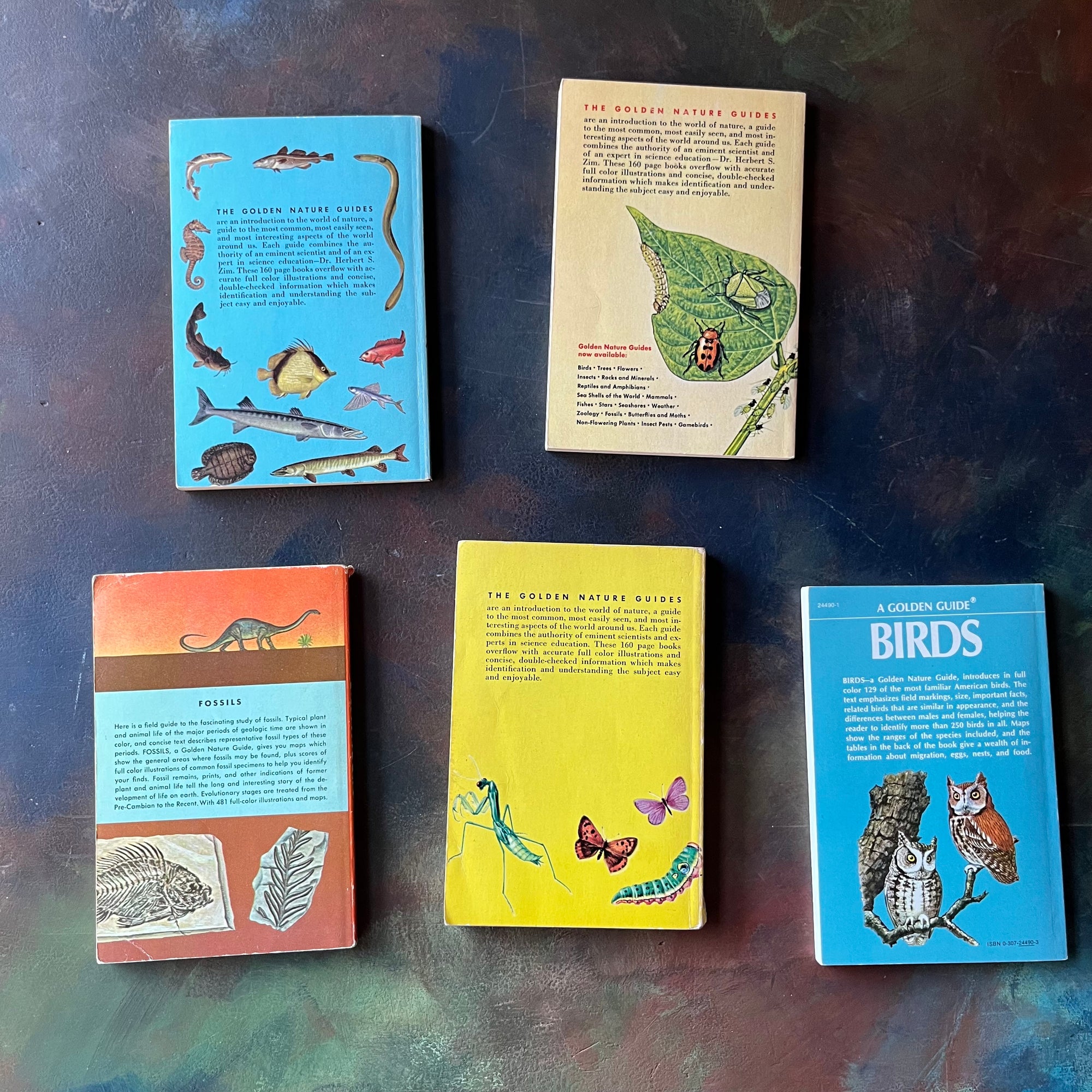 Old Nature Guide Golden Guides Set: Birds, Insects, Fossils, Insect Pests & Fishes - Log ...
