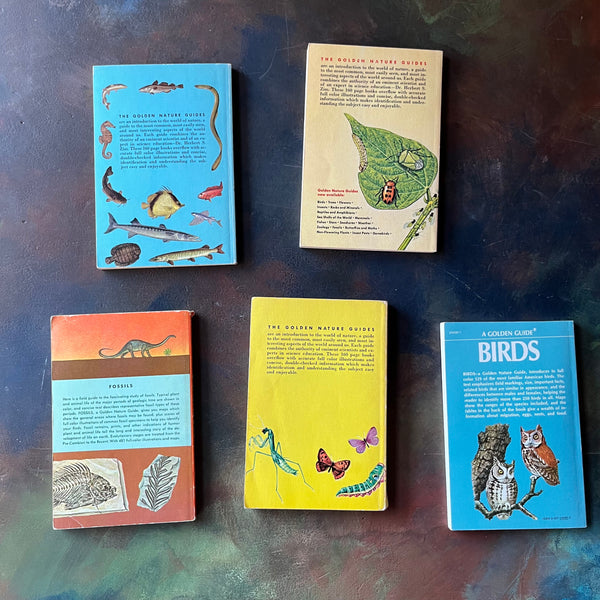 Golden Guides Set: Birds, Insects, Fossils, Insect Pests & Fishes - Log ...