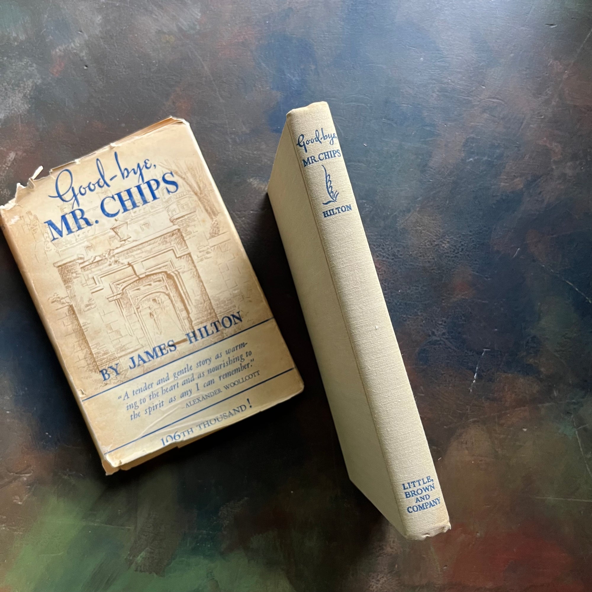 Good-Bye Mr. Chips written by James Hilton-Classic British Literature-vintage novella-heartwarming, wholesome story-view of the spine