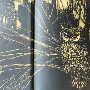 Grimm's Complete Fairy Tales by The Brother's Grimm-Canterbury Classics Leatherbound Edition-classic Fairy Tales for all ages-view of the closeup of the inside cover showing the owl sitting on a branch with a castle in the background