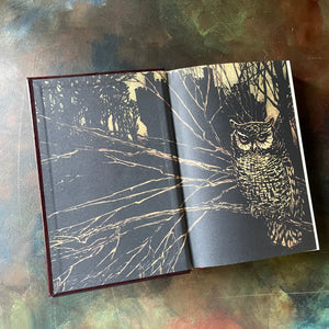 Grimm's Complete Fairy Tales by The Brother's Grimm-Canterbury Classics Leatherbound Edition-classic Fairy Tales for all ages-view of the inside cover showing an owl sitting on a branch with a castle in the background