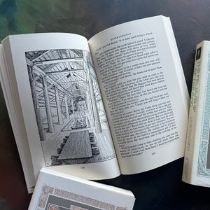 Houghlin Mifflin J.R.R. Tolkien Complete Lord of the Rings and The Hobbit Boxed Set-The Hobbit-The Fellowship of the Ring-The Two Towers-The Return of the King-J.R.R. Tolkien-vintage fantasy-view of an illustration from within the pages

