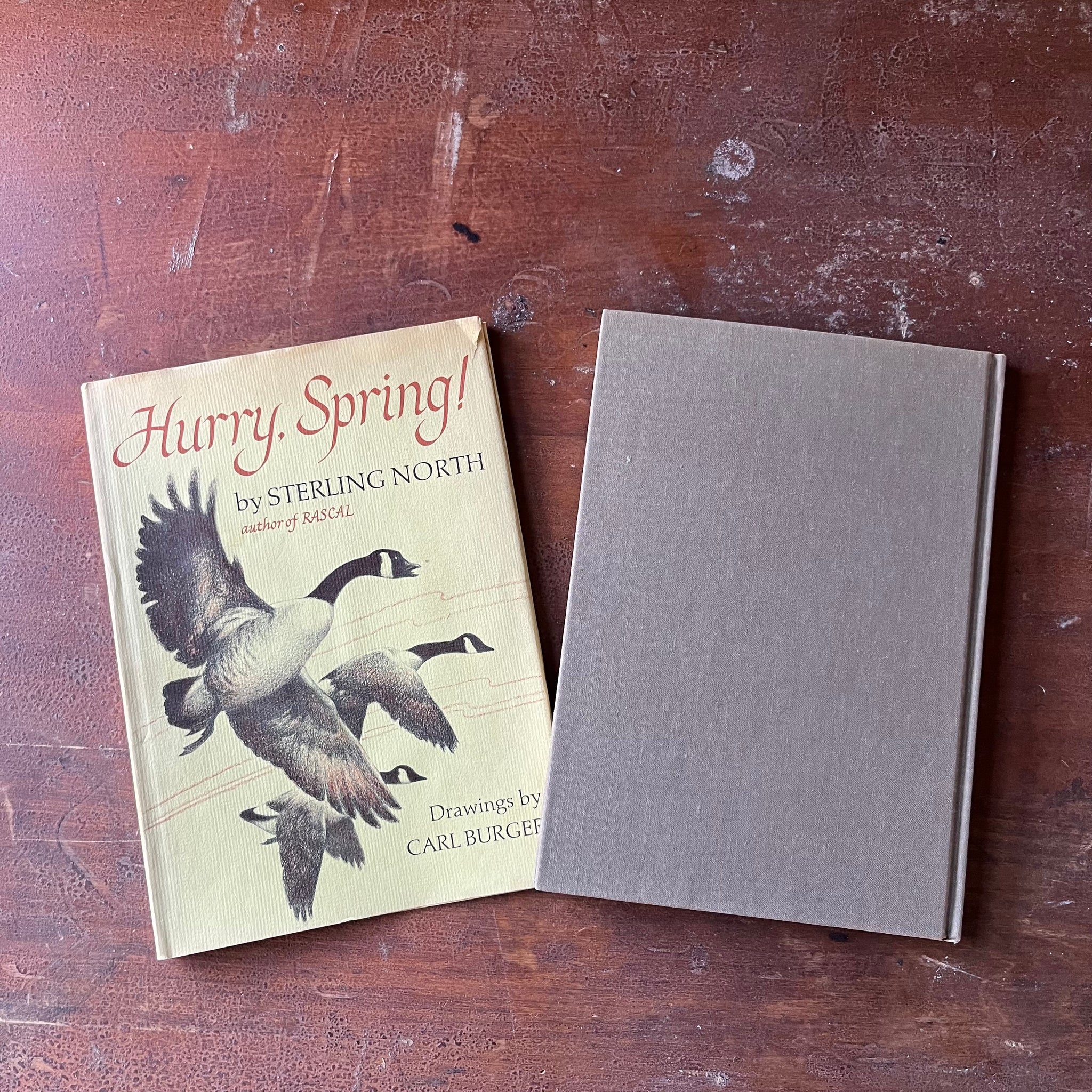 Hurry, Spring! by Sterling North with Illustrations by Carl Burger ...