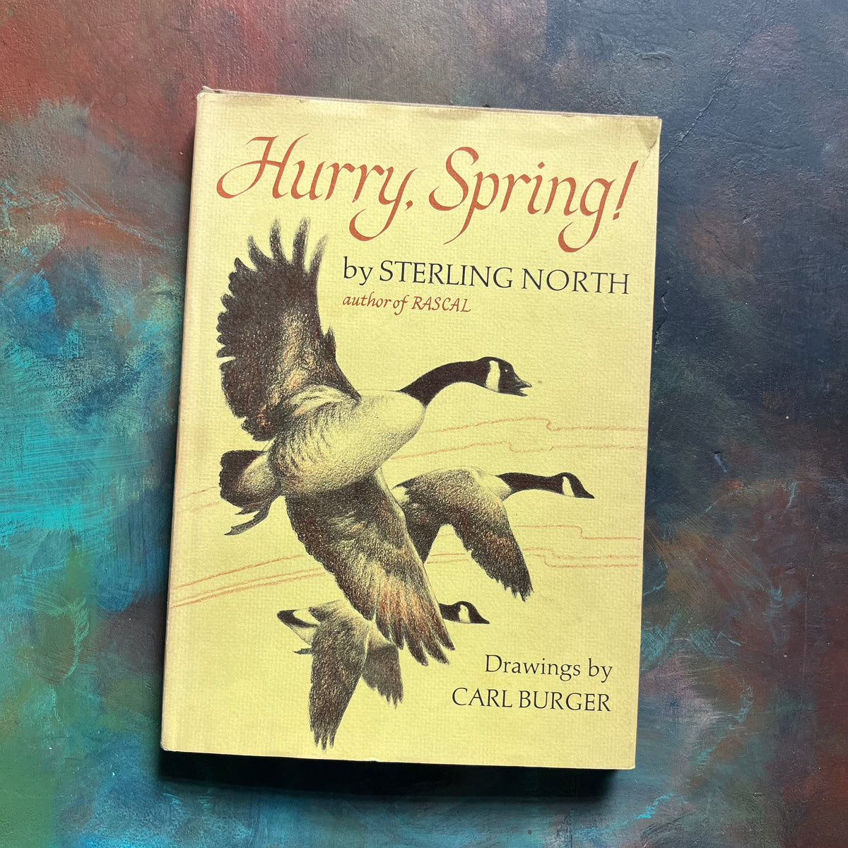 Hurry, Spring! by Sterling North-Illustrated by Carl Burger-vintage children's book about nature-view of the dust jacket's front cover