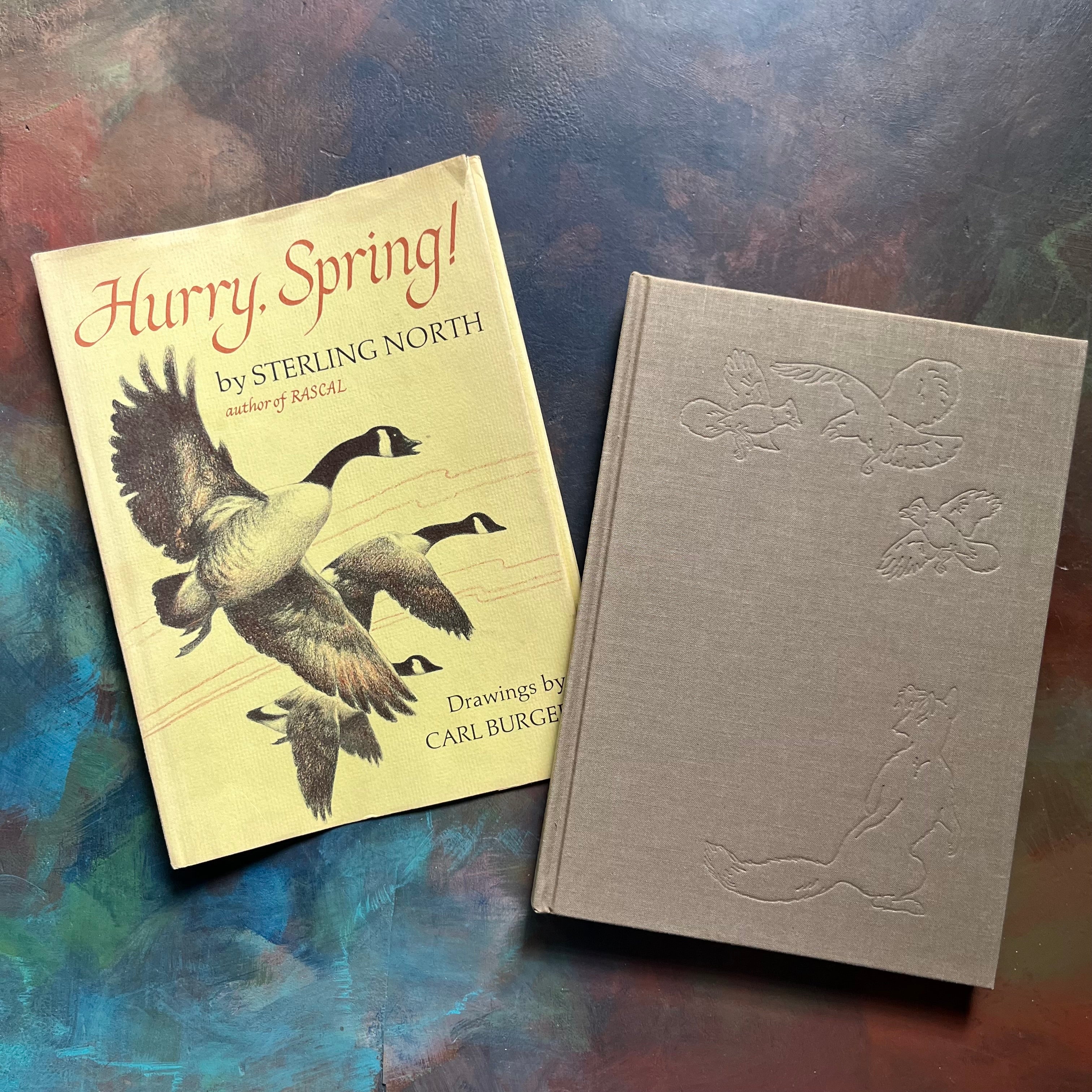 Hurry, Spring! by Sterling North-Illustrated by Carl Burger-vintage children's book about nature-view of the embossed front cover