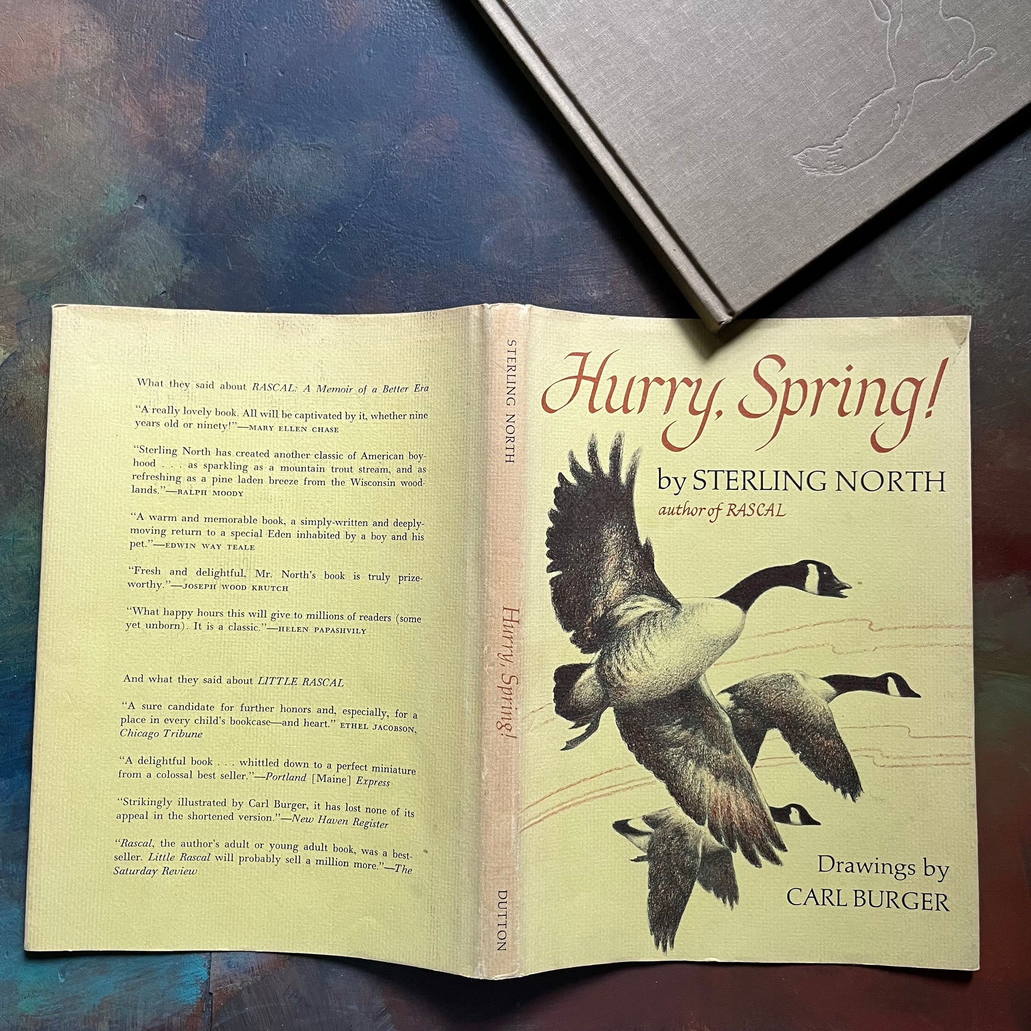 Hurry, Spring! by Sterling North with Illustrations by Carl Burger ...