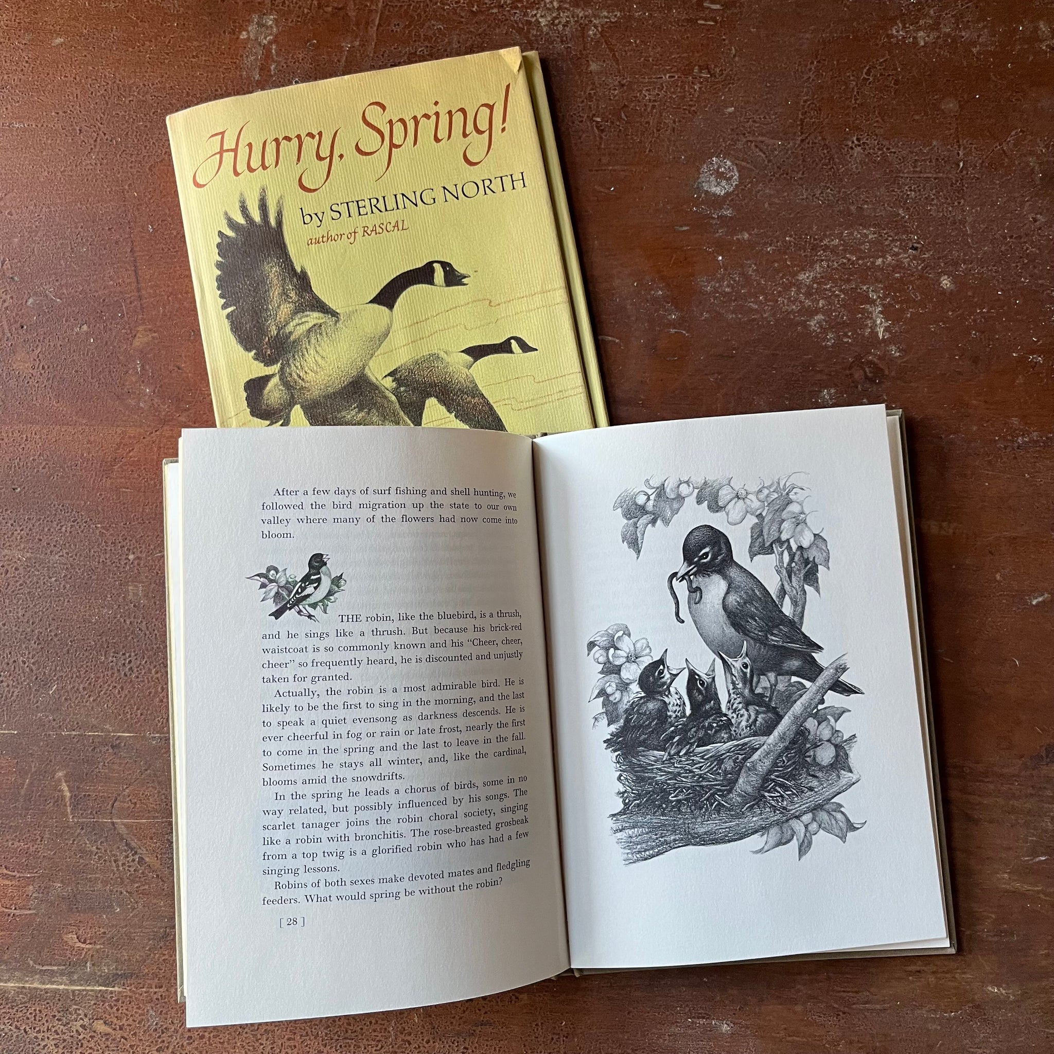 Hurry, Spring! by Sterling North with Illustrations by Carl Burger ...