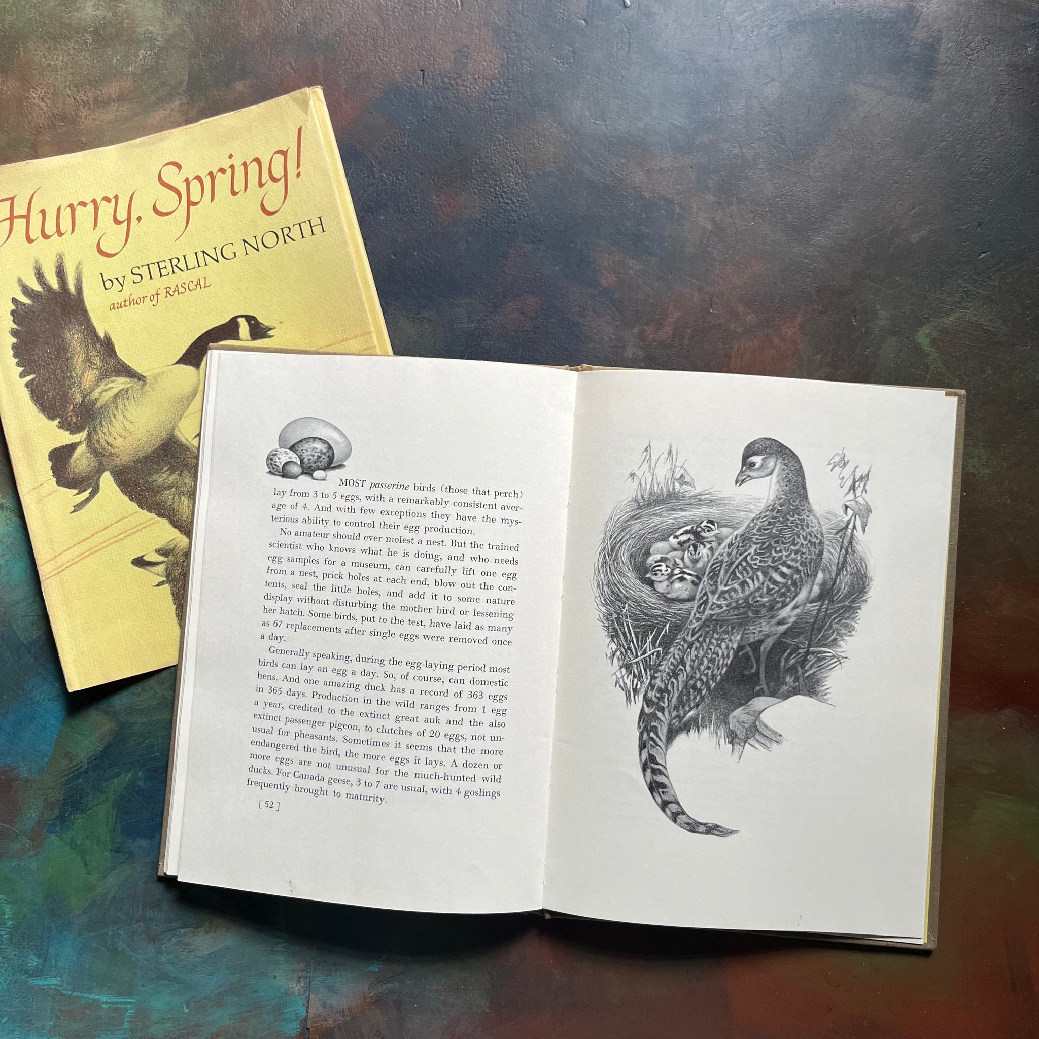 Hurry, Spring! by Sterling North with Illustrations by Carl Burger ...
