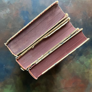 Illustrated Junior Library Editions Book Set-Little Women-Little Men-Jo's Boys- written by Louisa May Alcott-classic children's literature-view of the foredges 