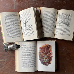 vintage children's classic literature - Illustrated Junior Library Series Book Set-Black Beauty written by Anna Sewell, The Little Lame Prince written by Dinah Maria Mulock Craik, & Hans Brinker written by Mary Mapes Dodge - view of the illustrations