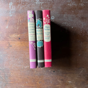 vintage children's classic literature - Illustrated Junior Library Series Book Set-Black Beauty written by Anna Sewell, The Little Lame Prince written by Dinah Maria Mulock Craik, & Hans Brinker written by Mary Mapes Dodge - view of the decorative spines