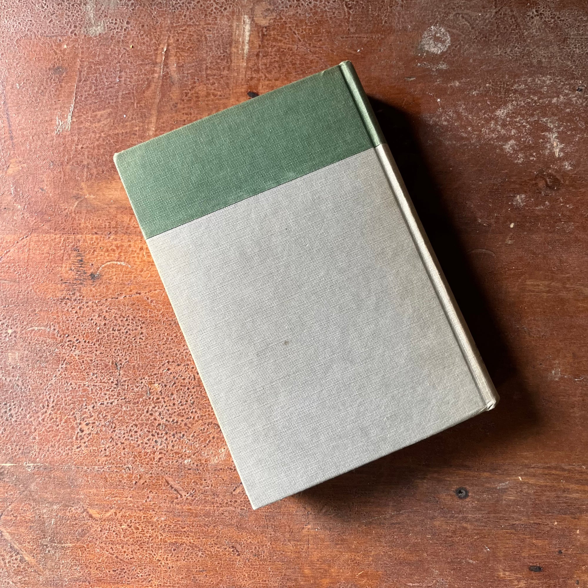 vintage children's chapter book, vintage short stories, vintage dog books - Jack London's Stories The Call of the Wild, The Cruise of the Dazzler & Other Stories of Adventure - view of the back cover