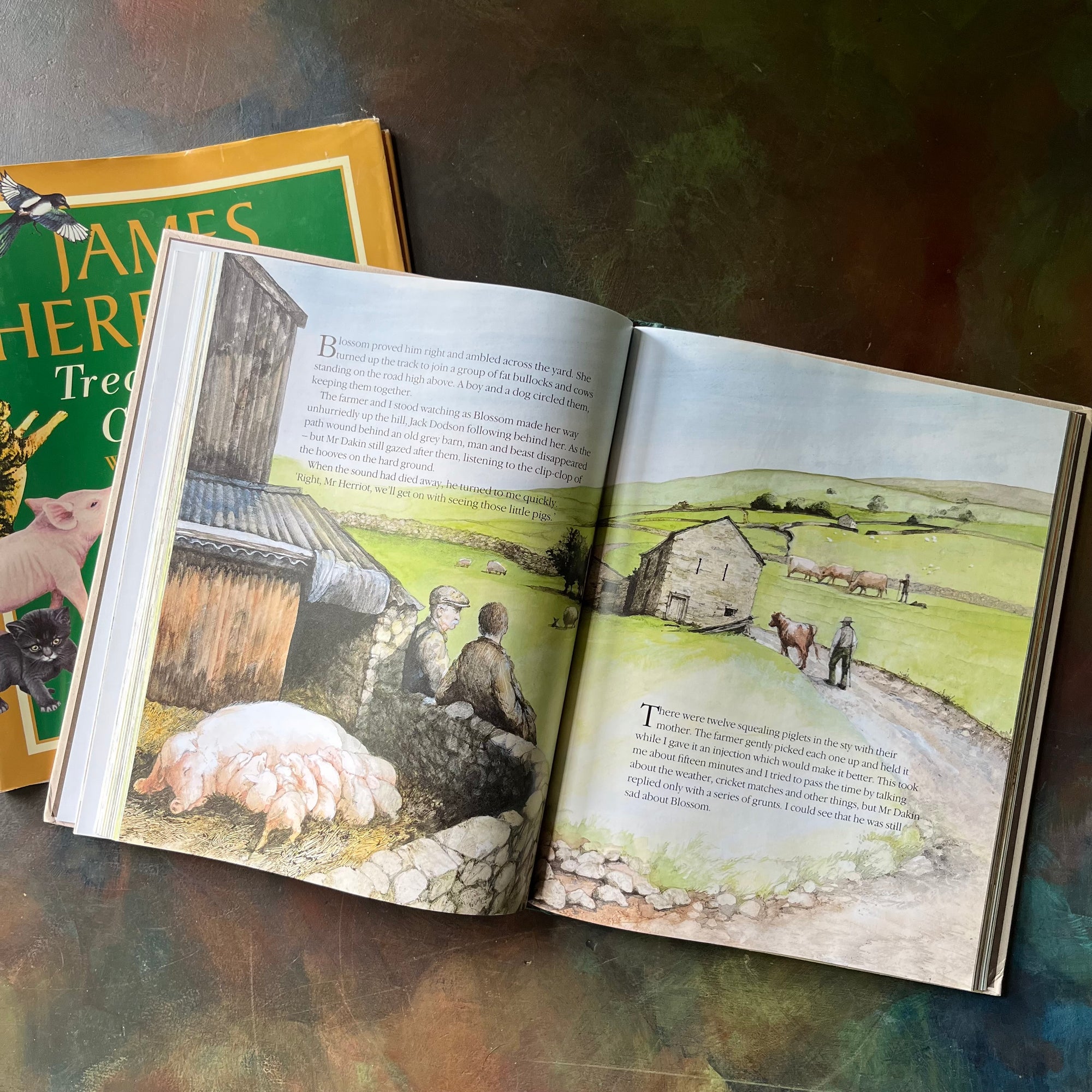 James Herriot's Treasury For Children-vintage short stories for children-vintage animal stories for kids-view of the illustrations