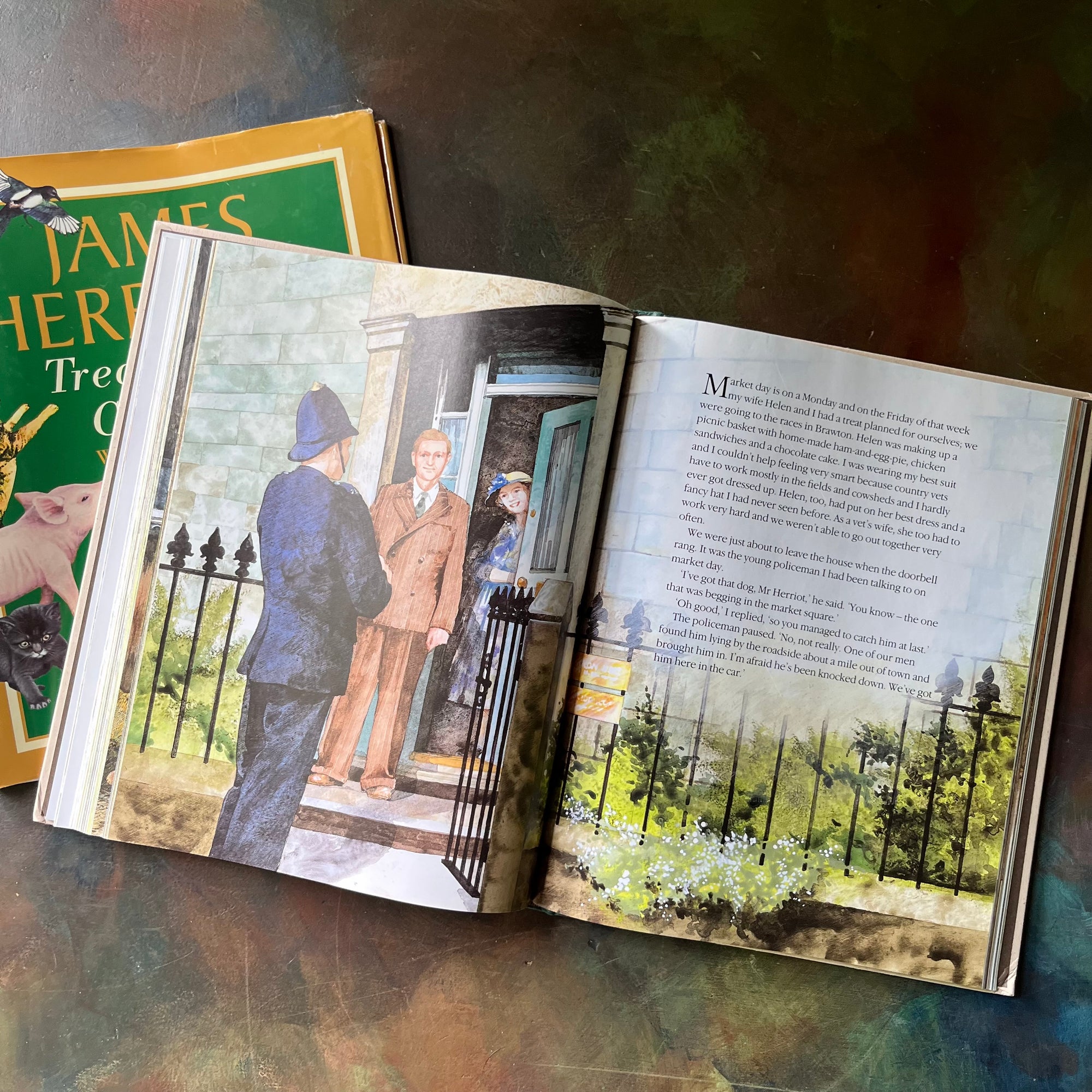 James Herriot's Treasury For Children-vintage short stories for children-vintage animal stories for kids-view of the illustrations