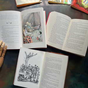 James and the Giant Peach-Danny Champion of the World-The Wonderful Story of Henry Sugar-vintage Roald Dahl Books-vintage Roald Dahl children's chapter books-classic children's books-view of the illustrations