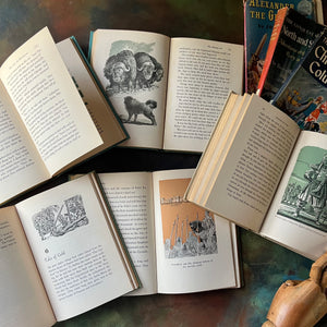 Landmark Series Great Explorers Collection Book Set-Columbus-Alexander the Great-Crusades-Balboa-North and South Poles-vintage living books-view of the illustrations