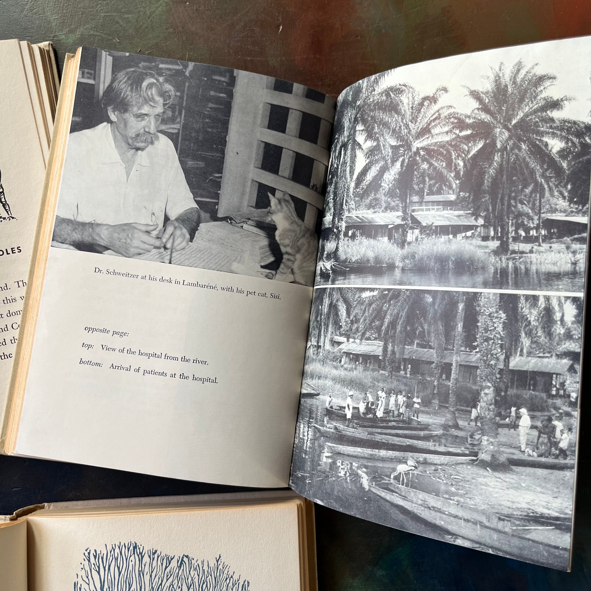 Landmark Series History Book Set for Children-Clara Barton-Albert Schweitzer-The Doctors Who Conquered Yellow Fever-vintage kids books-view of the photographs