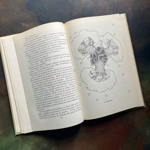 Le Petit Prince by Antoine De Saint-Exupery-1946 Educational Edition in French-classic children's literature-view of an illustration