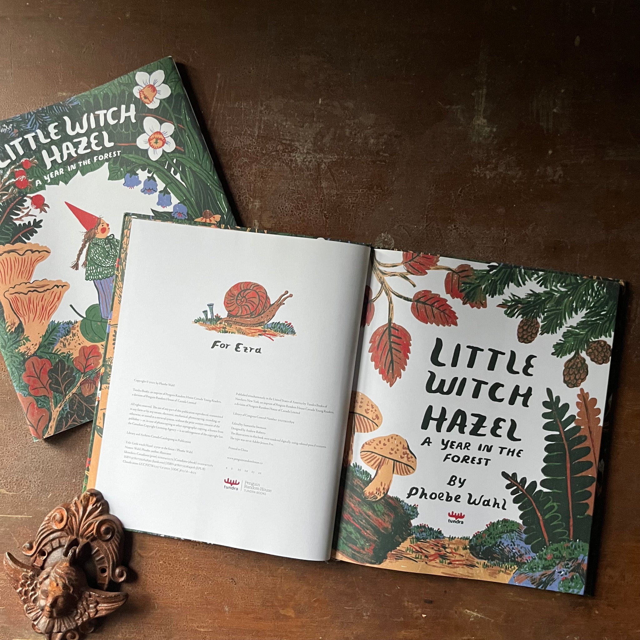 Little Witch Hazel A Year in the Forest by Phoebe Wahl - Log Cabin Vintage