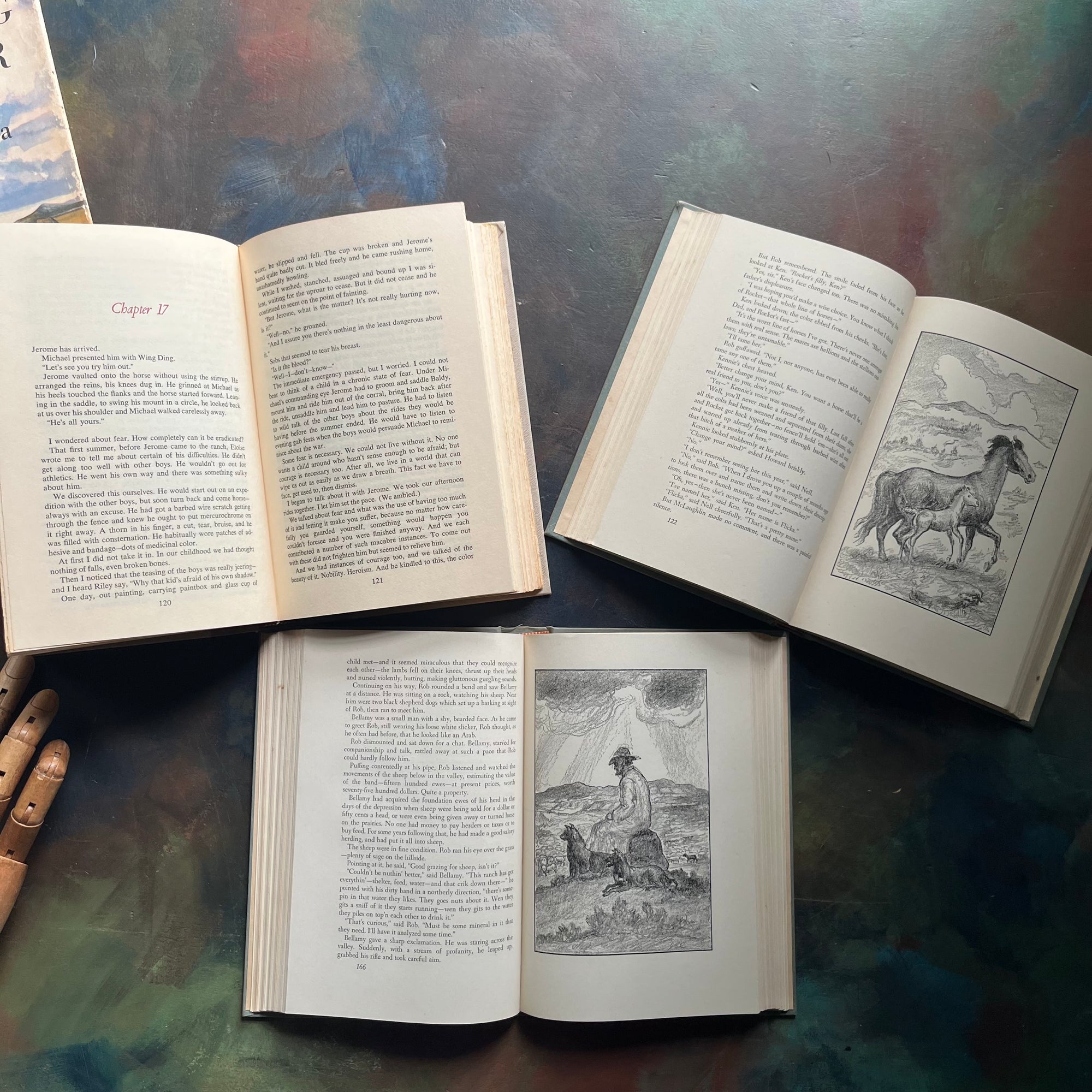 Vintage Horse books written by Mary O'Hara-My Friend Flicka-Thunderhead-Wyoming Summer-vintage horse classics-view of the illustrations