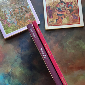 Michael Hague Illustrated Books Set-Peter Pan written by J. M. Barrie-Mother Goose-Vintage Children’s Classics-read aloud favorites-view of the spines