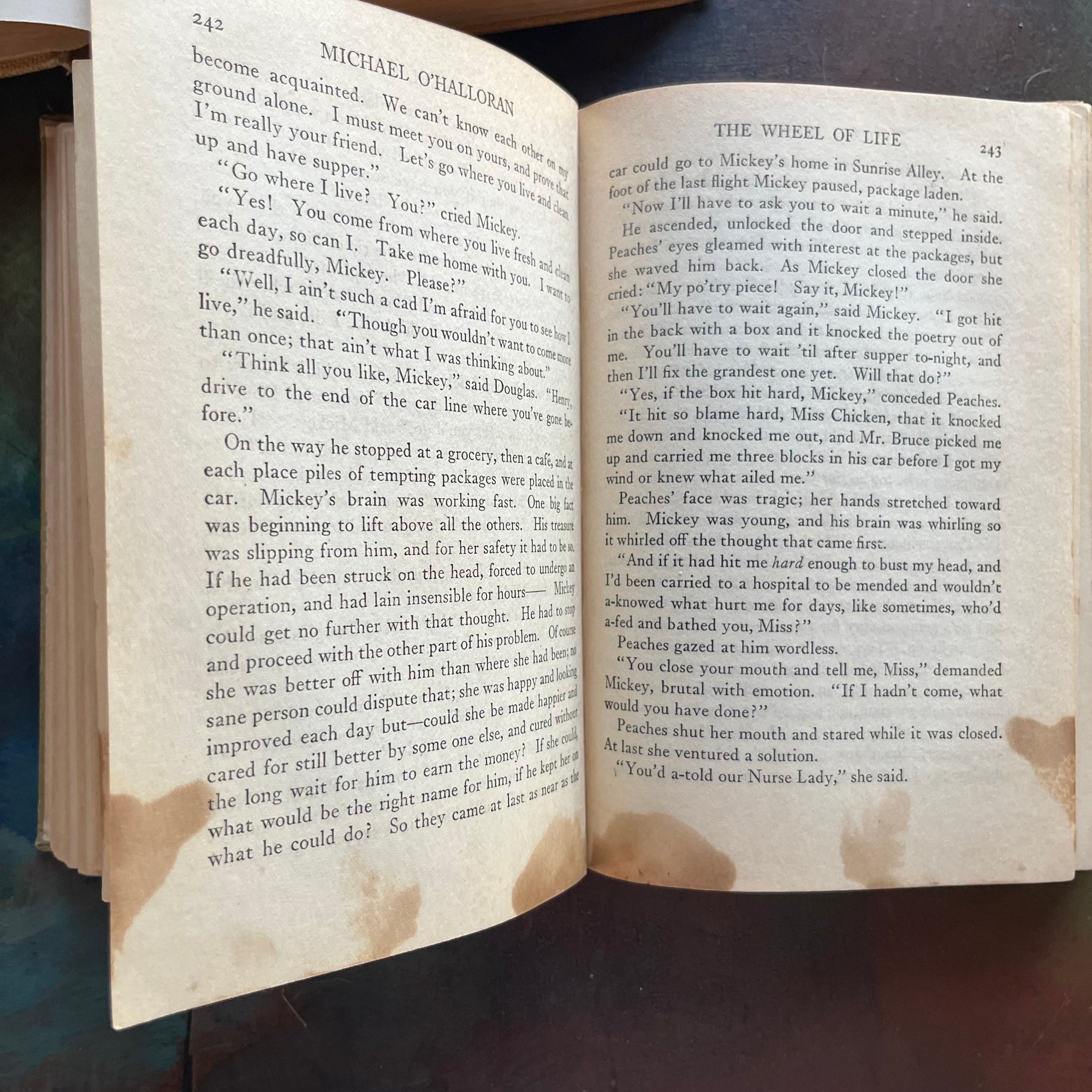 Michael O'Halloran and The Harvester-written by Gene Porter Stratton with Photograph of the Author-vintage, wholesome books-view of the page smudges/age spots Michael O'Halloran