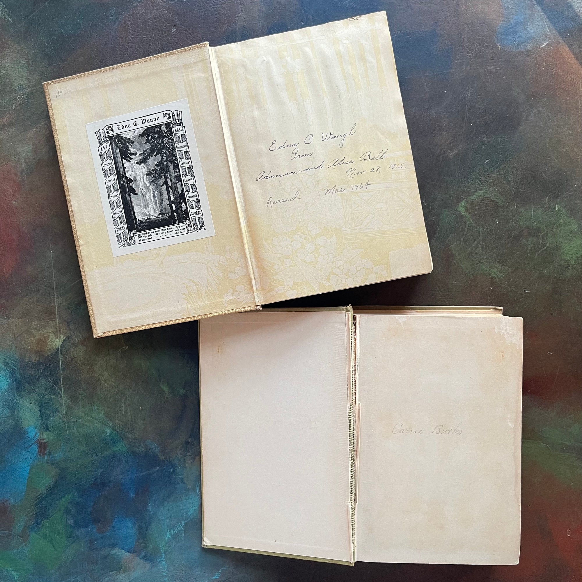 Michael O'Halloran and The Harvester-written by Gene Porter Stratton with Photograph of the Author-vintage, wholesome books-view of the inside covers
