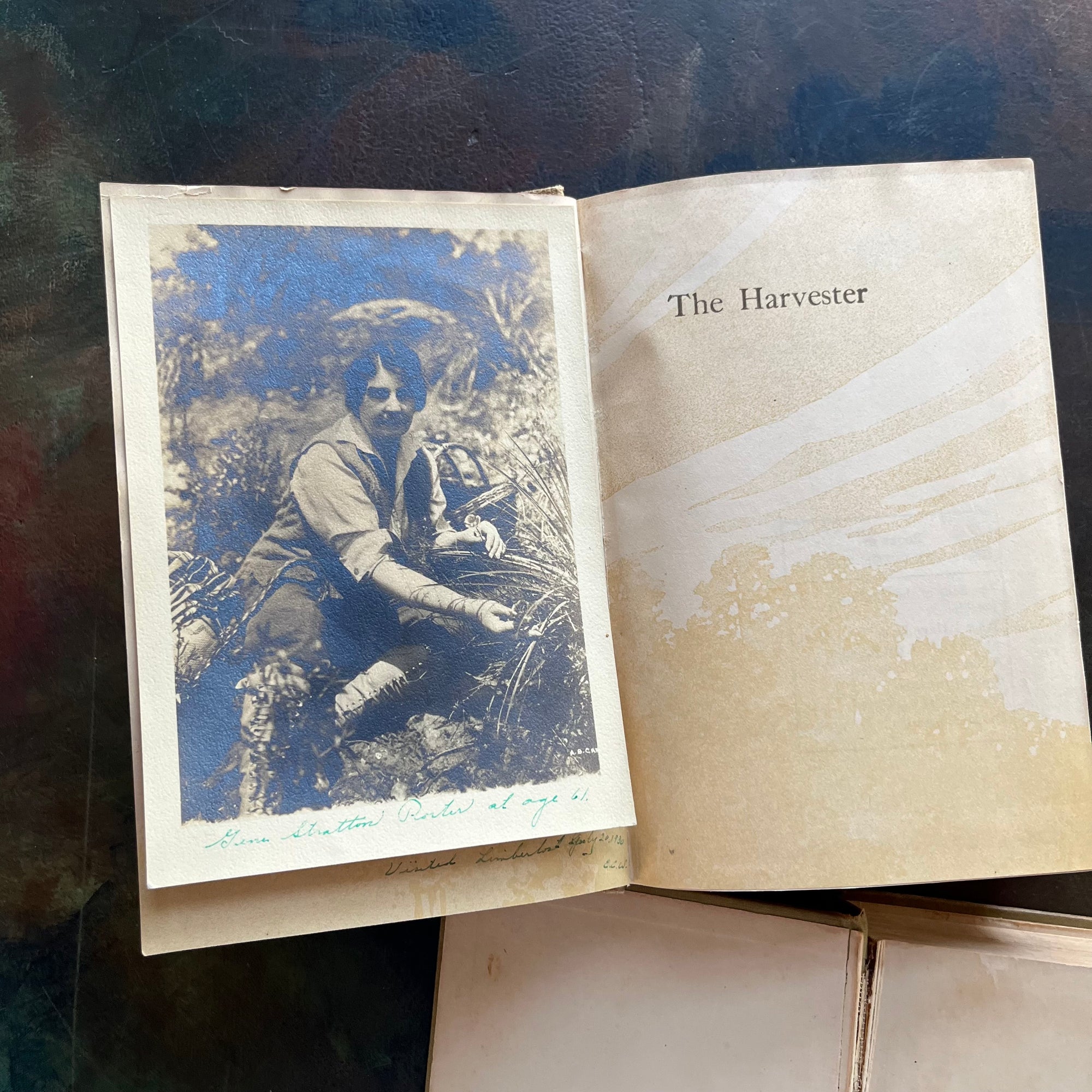 Michael O'Halloran and The Harvester-written by Gene Porter Stratton with Photograph of the Author-vintage, wholesome books-view of the photograph of Gene Stratton-Porter