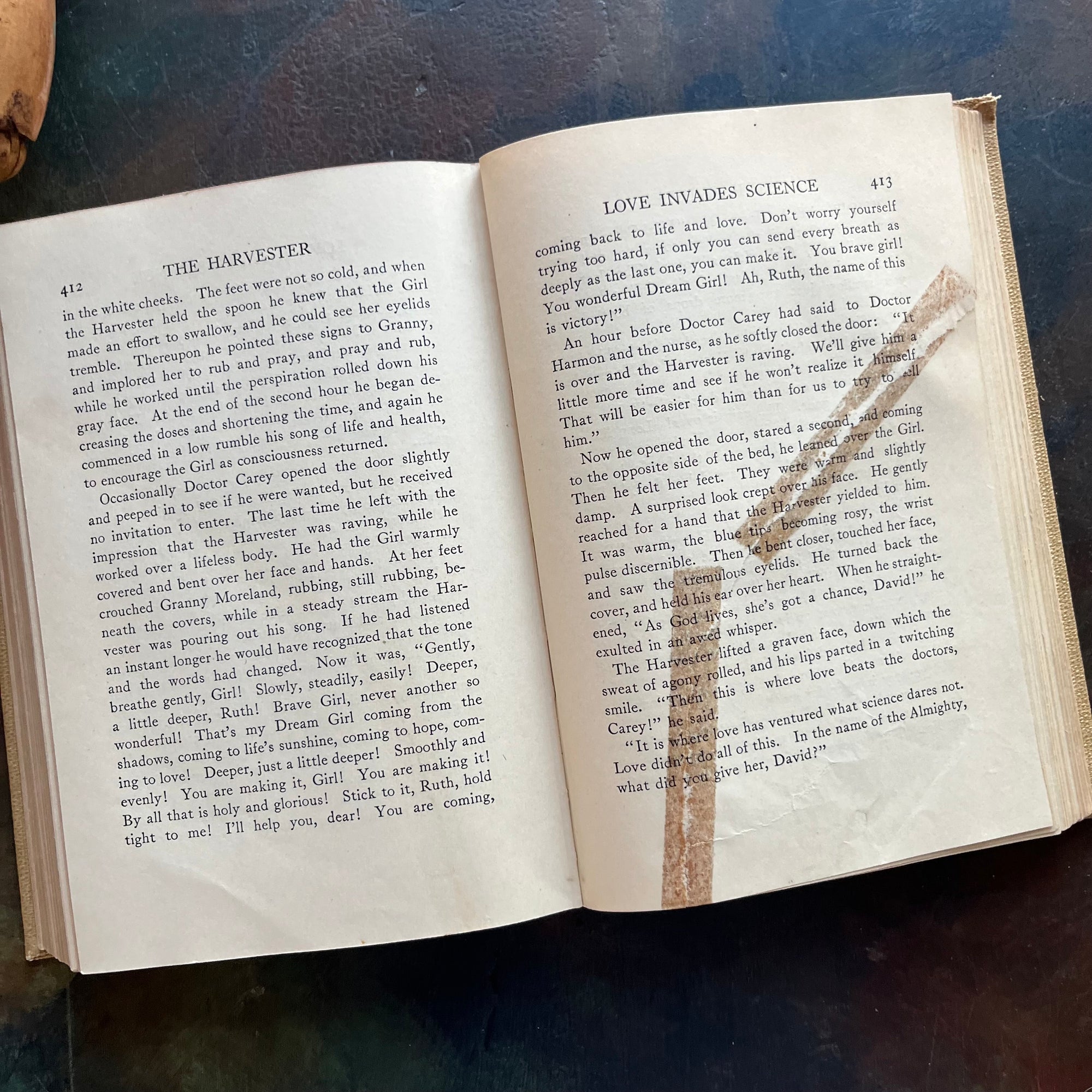 Michael O'Halloran and The Harvester-written by Gene Porter Stratton with Photograph of the Author-vintage, wholesome books-view of the condition of The Harvester - tape noted over a page tear