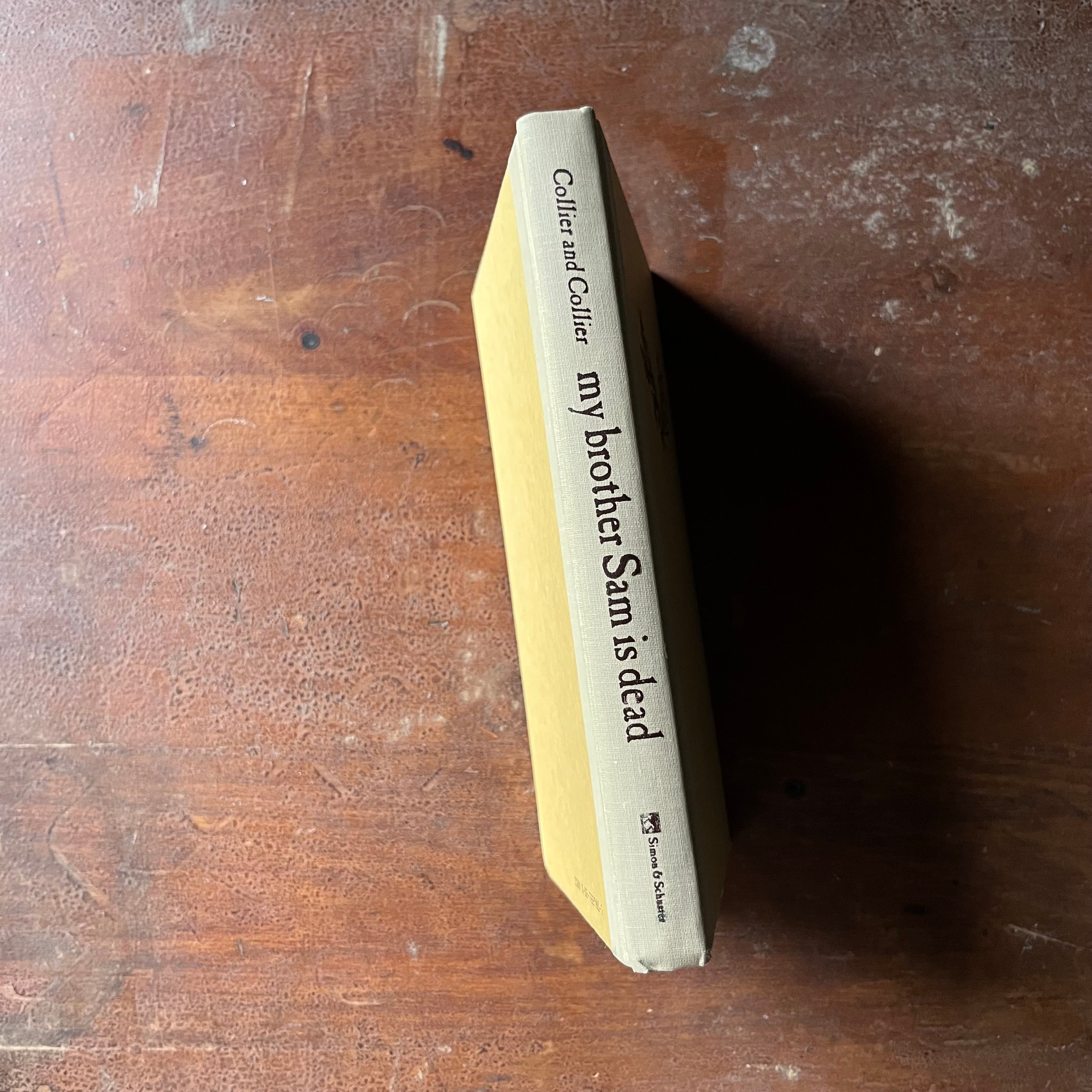 vintage children's chapter book, 1975 Newbery Medal Honor Book - My Brother Sam is Dead written by James Lincoln Collier and Christopher Collier - view of the spine