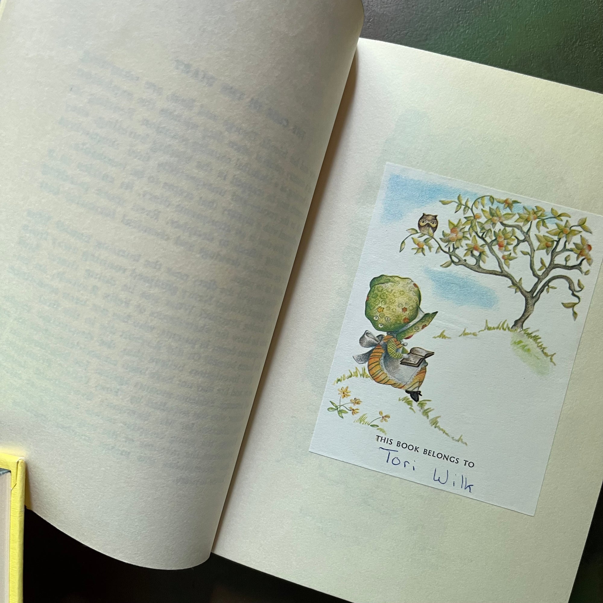 Nancy Drew Mystery Stories Starter Set-Books Three through Seven-vintage children's chapter books-Carolyn Keene-view of the book plate 
