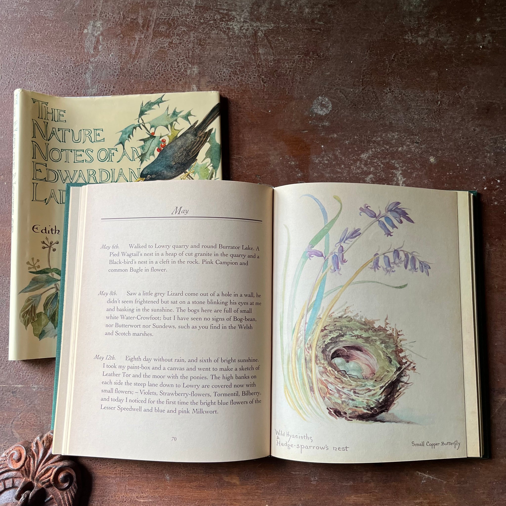 Edith Note The Nature Notes of An Edwardian Lady by Edith Holden - Log Cabin Vintage