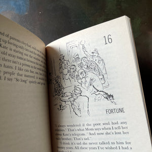 Newbery Award Library Book Set-It's Like This, Cat-Julie of the Wolves-Sounder-Onion John-vintage children's chapter books-view of an illustration from It's Like This, Cat