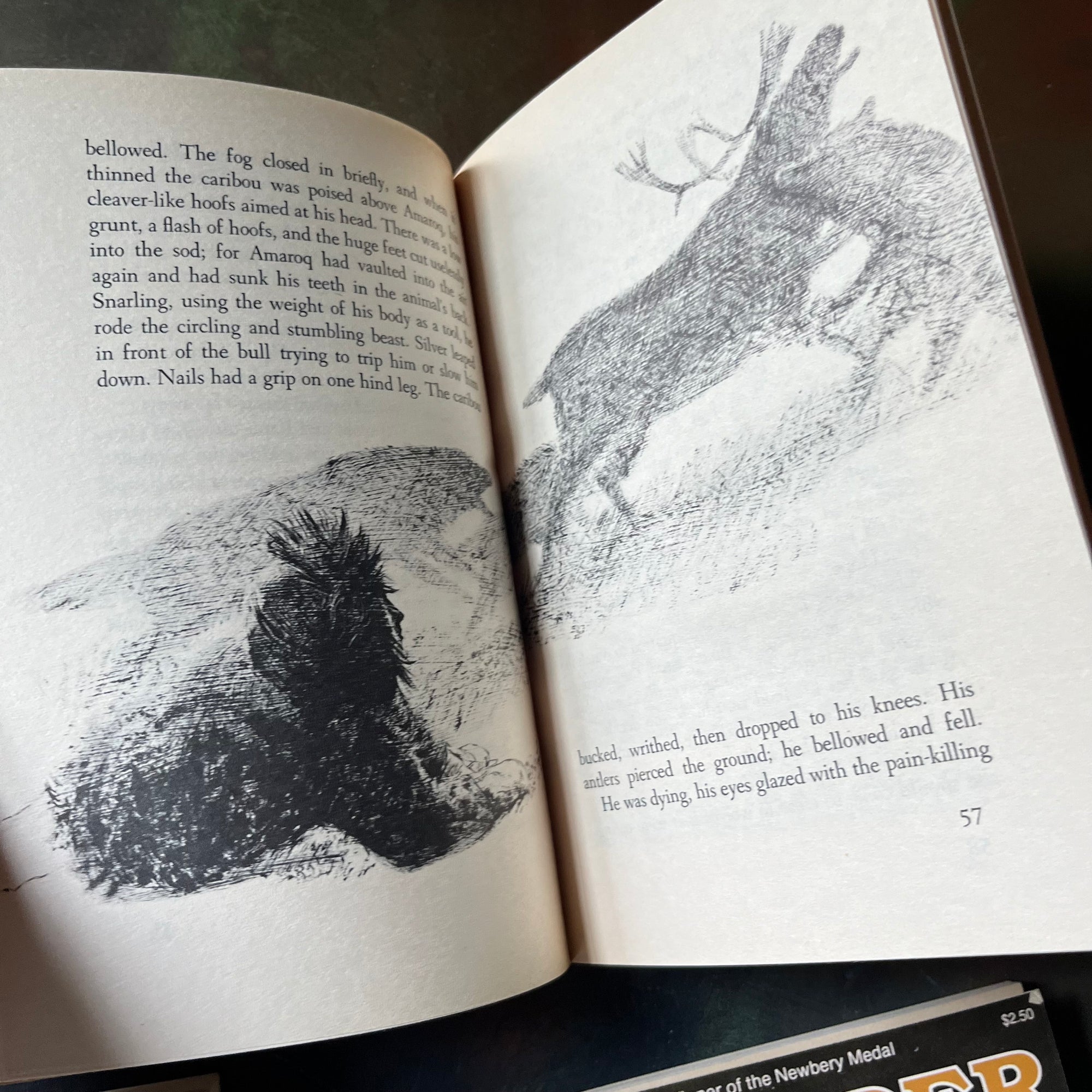 Newbery Award Library Book Set-It's Like This, Cat-Julie of the Wolves-Sounder-Onion John-vintage children's chapter books-view of an illustration from Julie of the Wolves