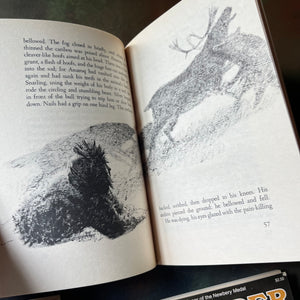 Newbery Award Library Book Set-It's Like This, Cat-Julie of the Wolves-Sounder-Onion John-vintage children's chapter books-view of an illustration from Julie of the Wolves
