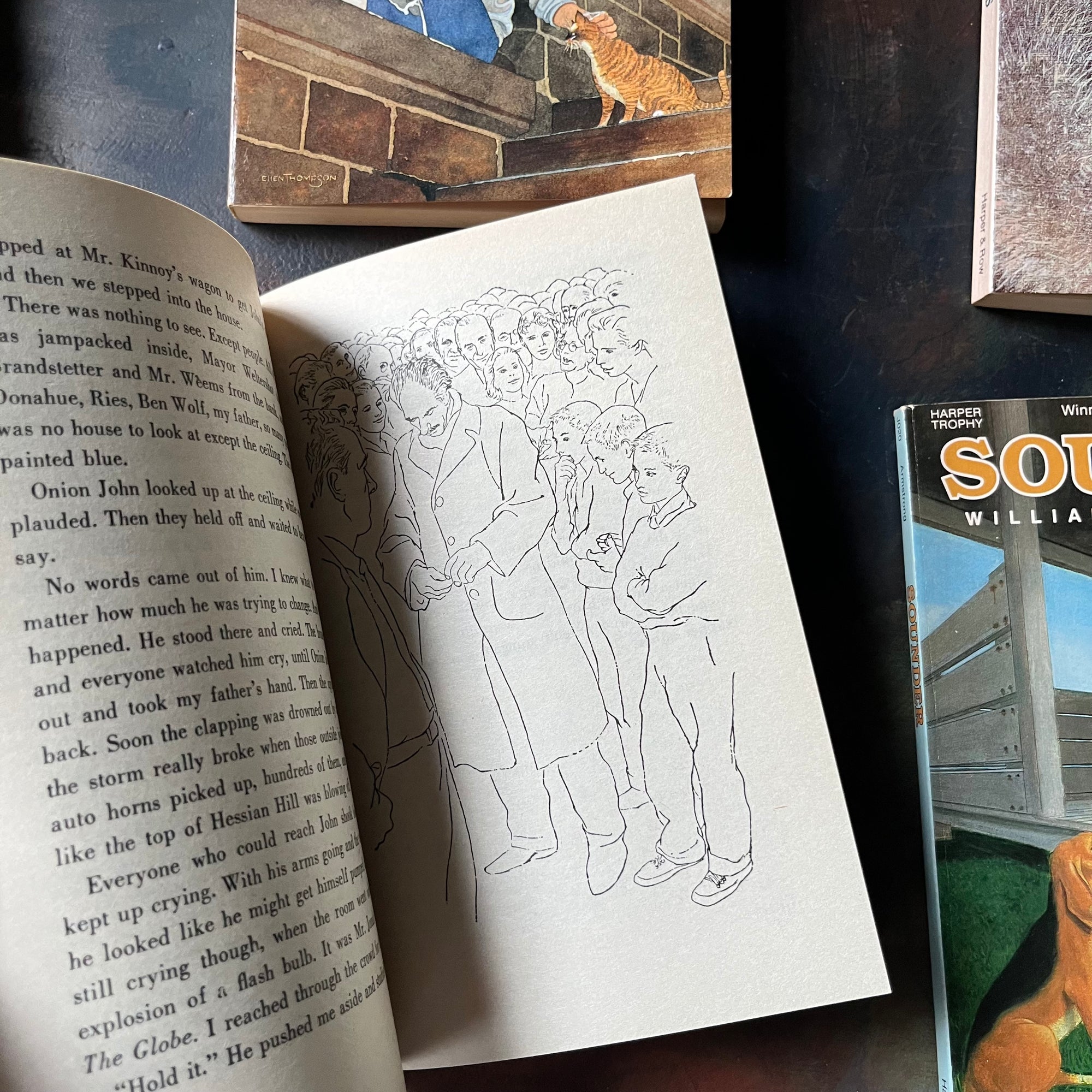 Newbery Award Library Book Set-It's Like This, Cat-Julie of the Wolves-Sounder-Onion John-vintage children's chapter books-view of an illustration from Onion John