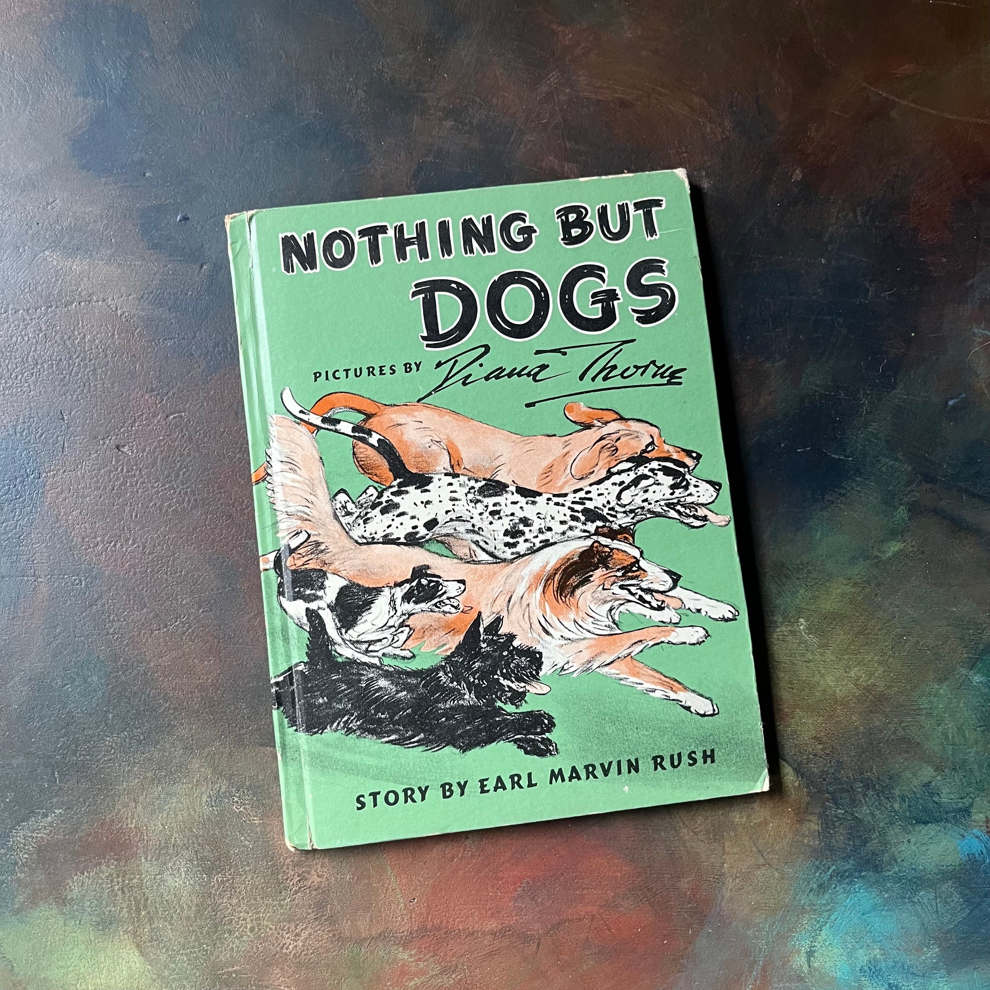 Nothing But Dogs is a vintage children's beginner chapter book written by Earl Marvin Rush with illustrations by Diana Thorne-view of the front cover