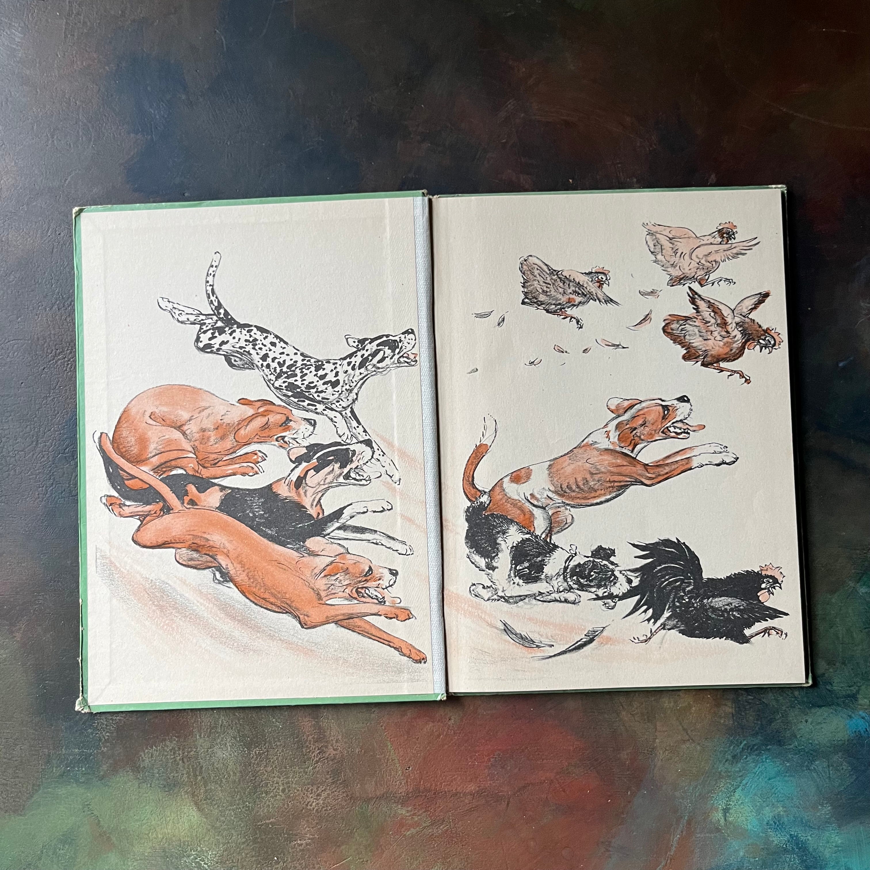 Nothing But Dogs is a vintage children's beginner chapter book written by Earl Marvin Rush with illustrations by Diana Thorne-view of the inside cover
