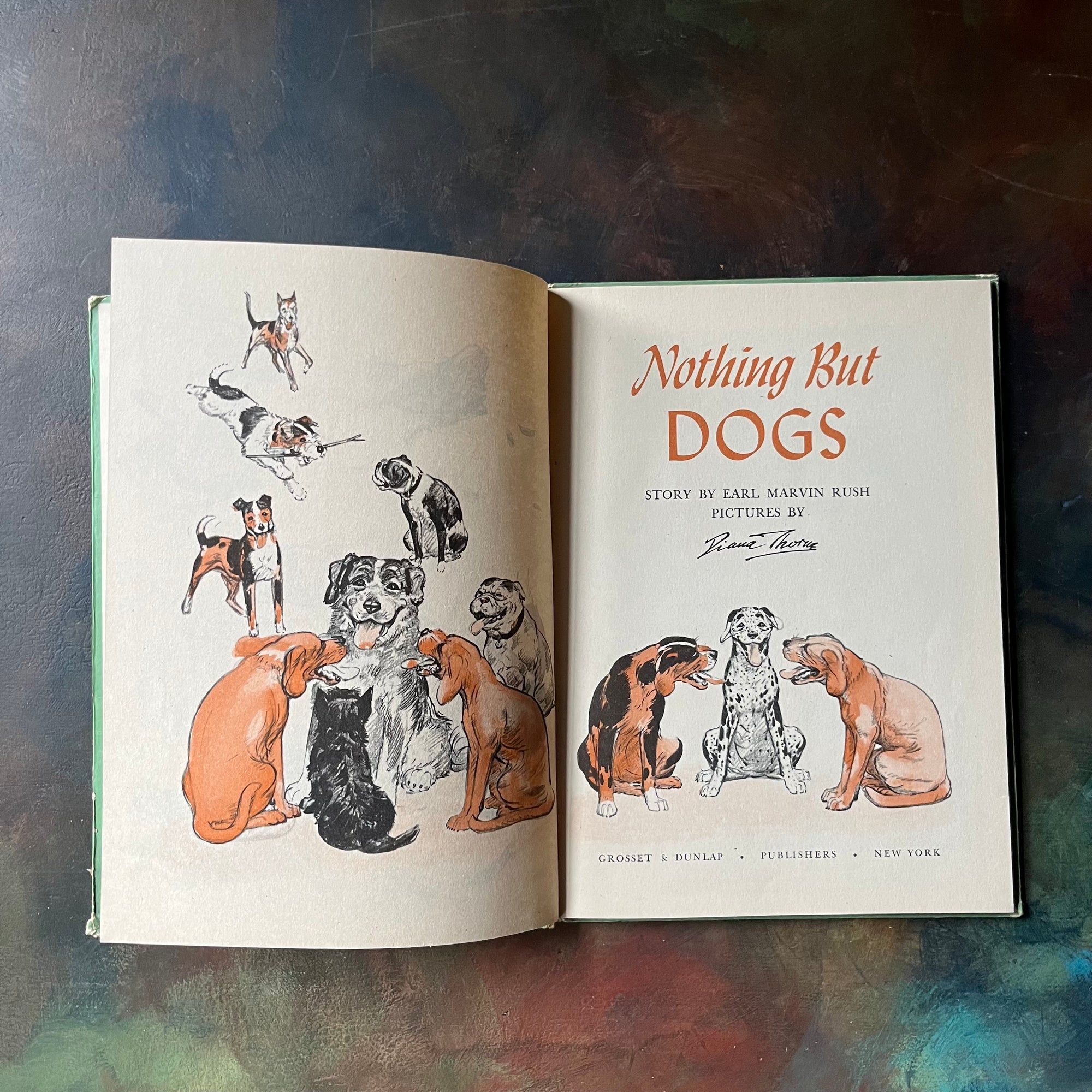 Nothing But Dogs is a vintage children's beginner chapter book written by Earl Marvin Rush with illustrations by Diana Thorne-view of the title page