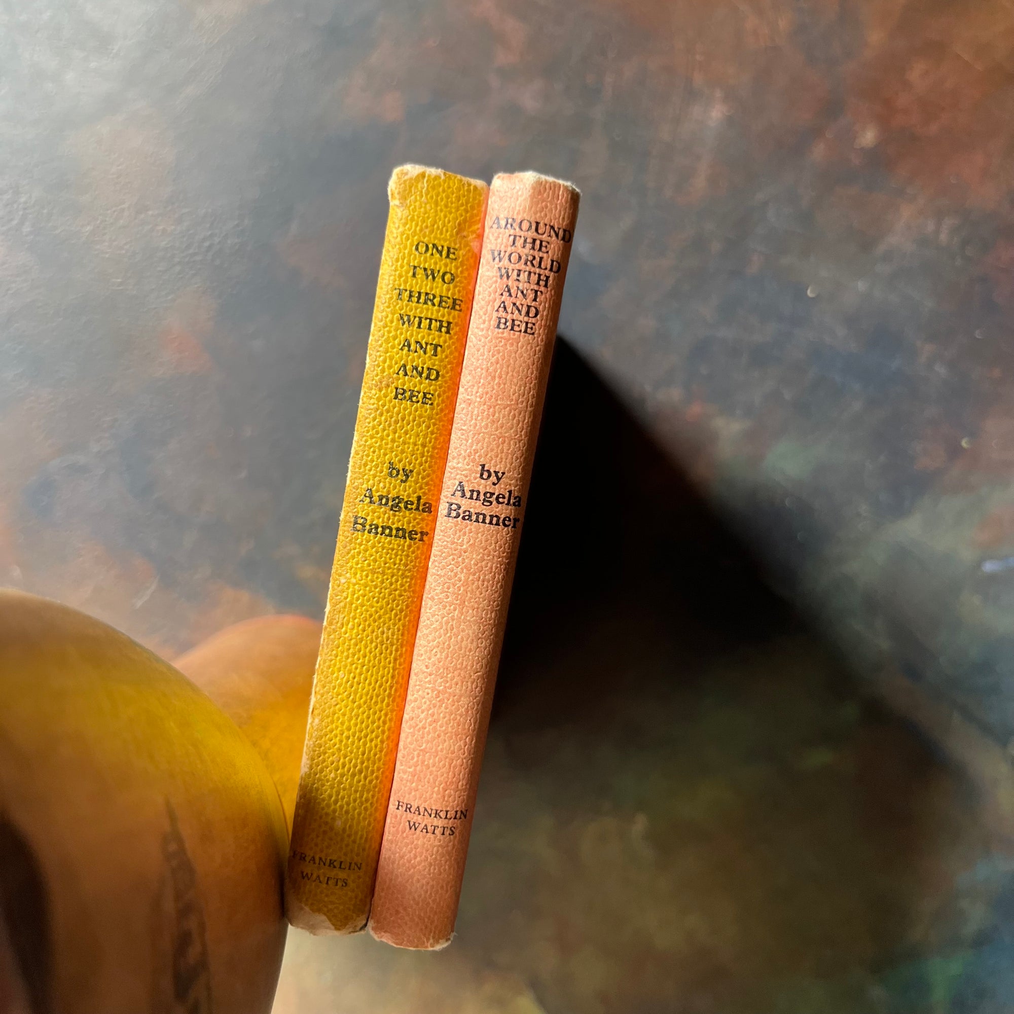 One, Two, Three with Ant and Bee and Around the World with Ant and Bee-Angela Banner Book Set-Vintage children's picture books-view of the spines