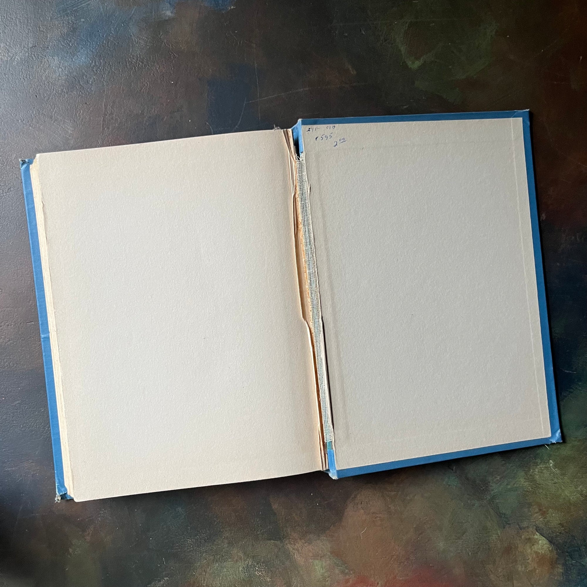 Ozma of Oz-L. Frank Baum-Wizard of Oz Book Series-vintage children's chapter book-vintage children's fiction-view of the back, inside cover with crack at the spine noted