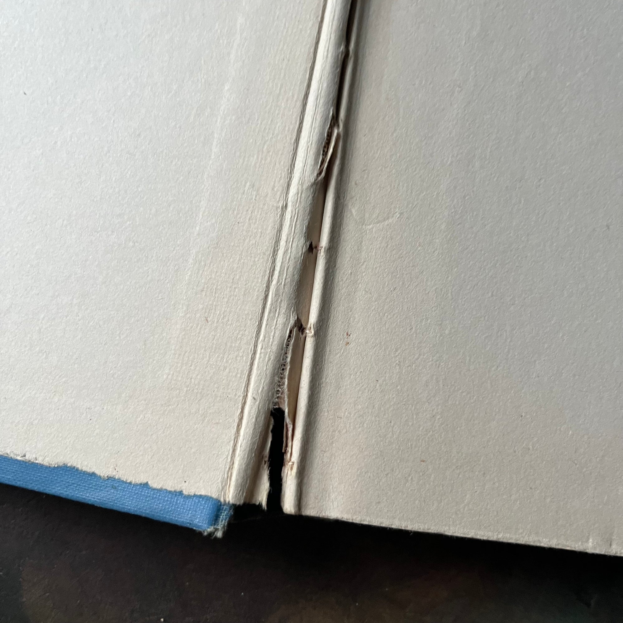 Ozma of Oz-L. Frank Baum-Wizard of Oz Book Series-vintage children's chapter book-vintage children's fiction-view of the inside cover (front inside cover) & crack at the spine