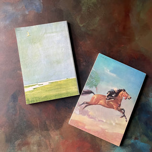 Pair of Margeurite Henry Horse Books-Misty of Chincoteague-King of the Wind-Newbery Award Book-vintage children's horse stories-view of the back covers.