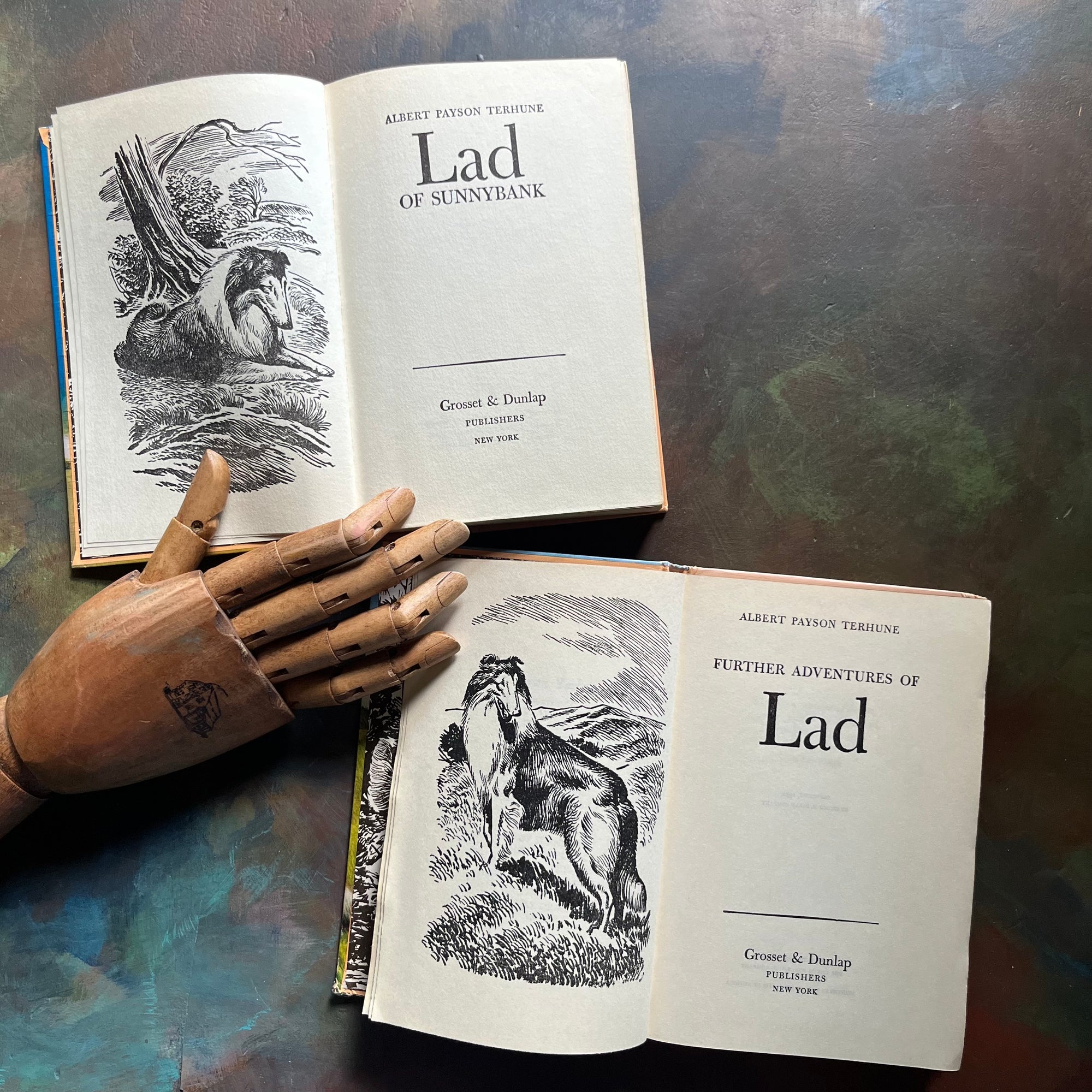 Pair of Albert Payne Terhune Books-Lad of Sunnbank & The Further Adventures of Lad-vintage children's chapter books-vintage dog books-view of the title pages & frontispieces