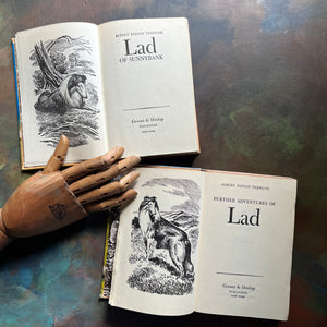 Pair of Albert Payne Terhune Books-Lad of Sunnbank & The Further Adventures of Lad-vintage children's chapter books-vintage dog books-view of the title pages & frontispieces