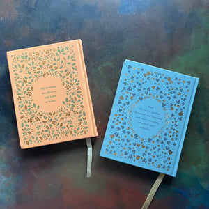 Pair of Barnes & Noble Leather-Bound Editions-Black Beauty by Anna Sewell-The Secret Garden-Frances Hodgson Burnett-classic children's literature-view of the back covers