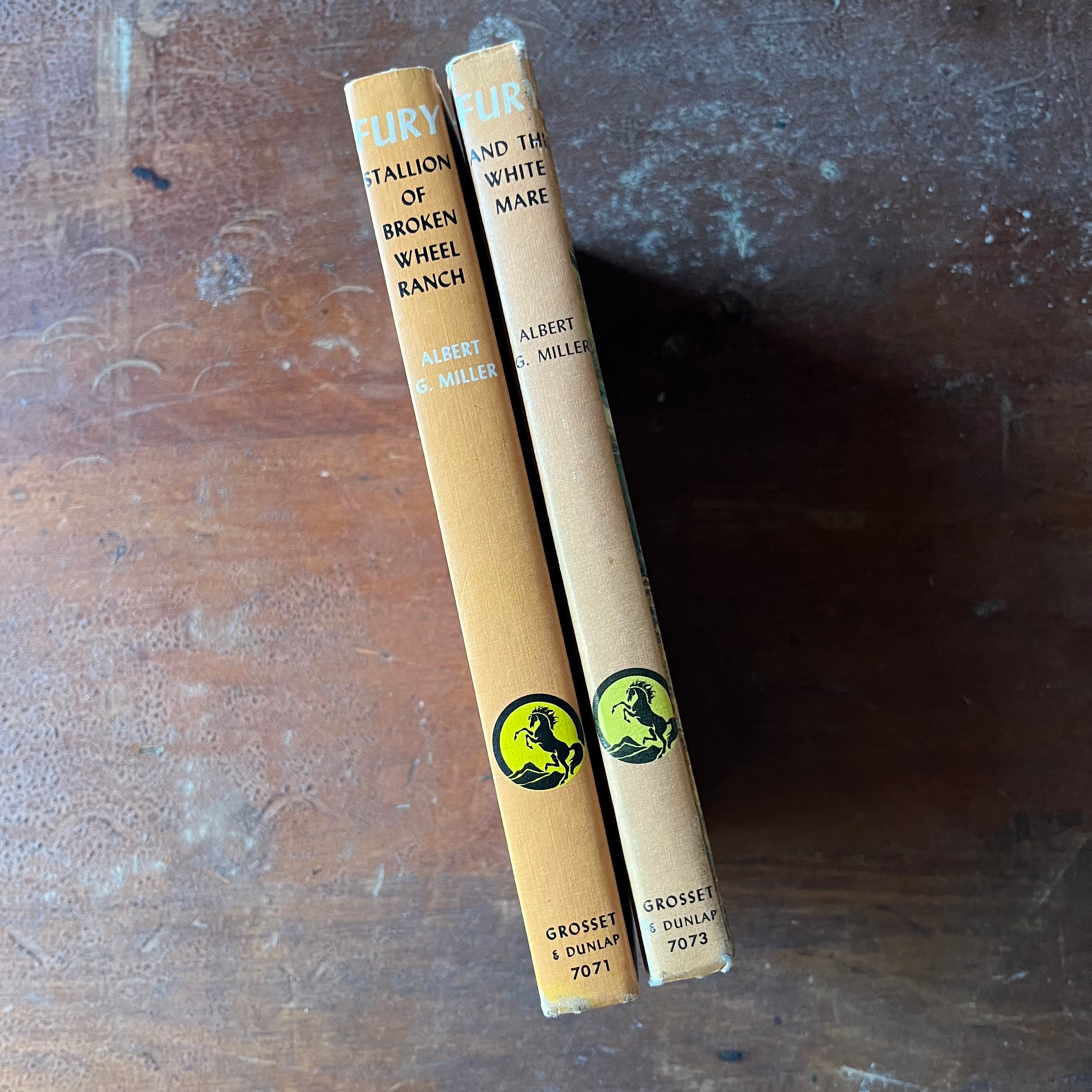 Pair of Fury Stallion Books written by Albert G. Miller - Fury Stallion of Broken Wheel Ranch and Fury and the White Mare - view of the spines
