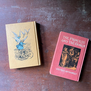 vintage children's chapter books - Pair of Looking Glass Library Books-The Princess and The Goblin written by George MacDonald and Five Children and It written by E. Nesbit - view of the colorful back covers with same images from the covers only larger