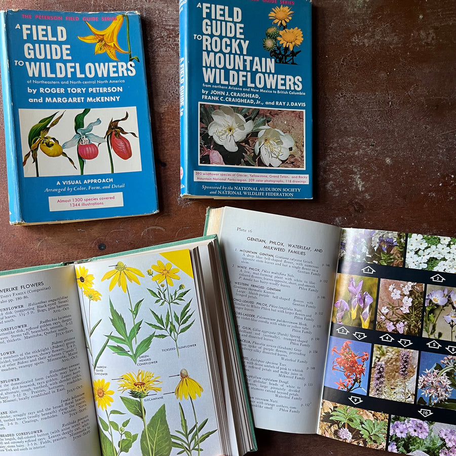 Pair of Peterson Field Guides - Wildflowers & Rocky Mountain Wildflowe ...