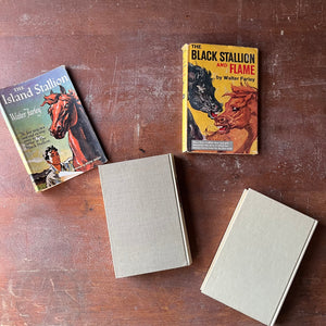 Pair of The Black Stallion Books-The Island Stallion and The Black Stallion & Flame-written by Walter Farley-vintage children's chapter books-view of the back covers